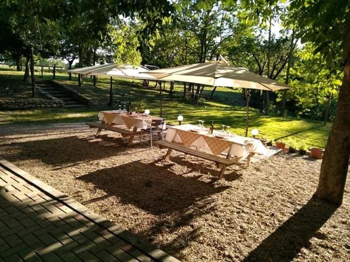 Agriturismo Molino Nuovo Castel San Pietro Terme Ngoại thất bức ảnh